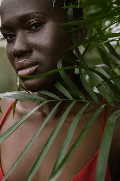 Yeşil Palmiye Ile Çekici Afro Amerikan Kız Portresi Bırakır — Stok fotoğraf