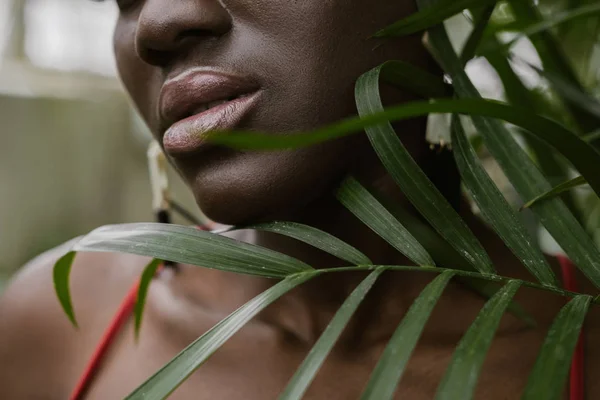 ヤシの葉と美しいアフリカ系アメリカ人女性のトリミング ビュー — ストック写真