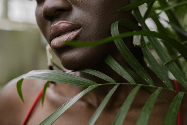 cropped view of beautiful african american woman with palm leaves 