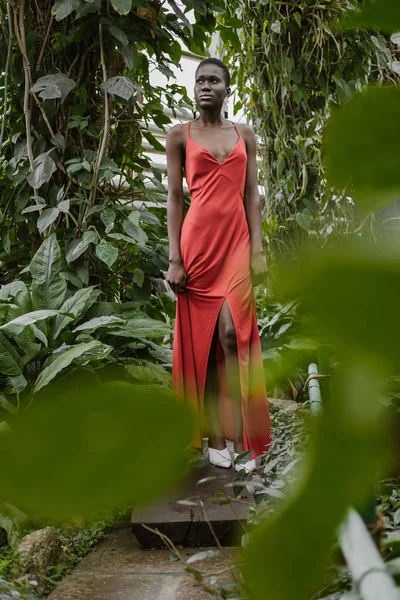 selective focus of attractive african american model posing in red dress in green garden