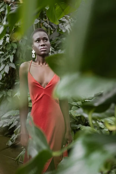 Enfoque Selectivo Elegante Chica Afroamericana Posando Vestido Rojo Jardín — Foto de Stock