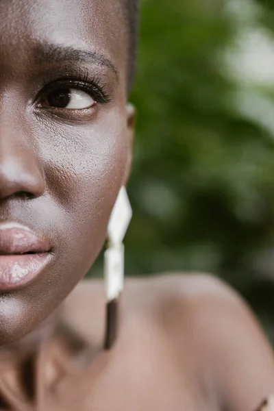 Halved Portrait Attractive African American Girl — Stock Photo, Image