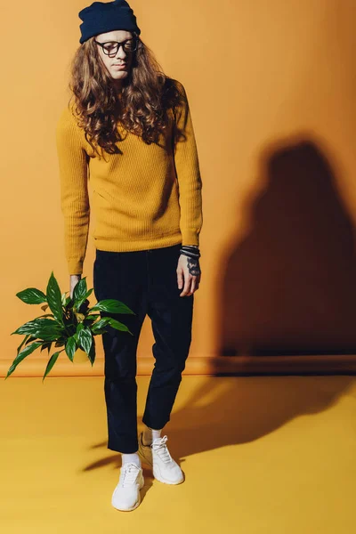 Modische Mann Posiert Mit Pflanze Auf Gelb — kostenloses Stockfoto