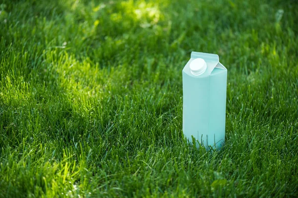 Aproape Vedere Pachetului Lapte Albastru Gol Gazon Verde — Fotografie, imagine de stoc