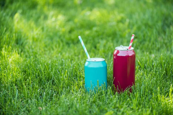 close up view of drinks in cans with straws on green grass