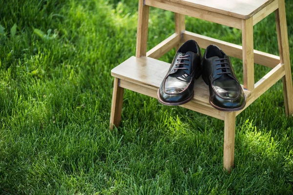 Крупный План Черной Кожаной Обуви Деревянной Лестнице Зеленой Траве — Бесплатное стоковое фото