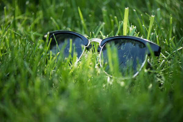 close up view of stylish sunglasses on green grass