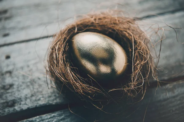 Huevo de Pascua dorado en el nido - foto de stock