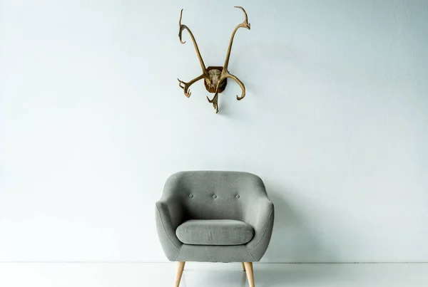 Кресло и рога на стене — стоковое фото