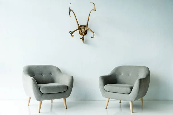 Gray armchairs and antlers on wall — Stock Photo