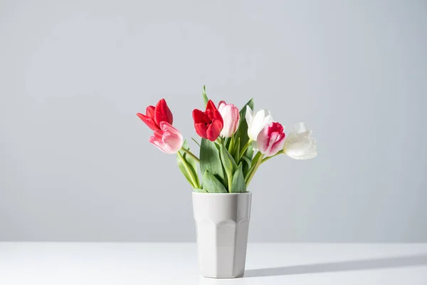 Красивые цветущие белые, розовые и красные тюльпаны в вазе на сером — стоковое фото