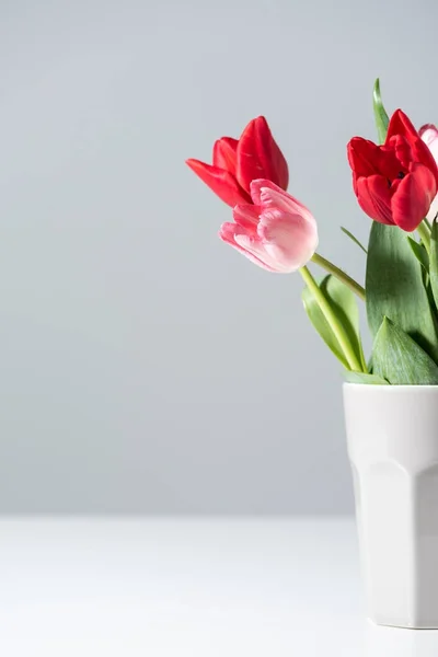 Vista de cerca de hermosas flores de tulipán rojas y rosadas en jarrón sobre gris - foto de stock