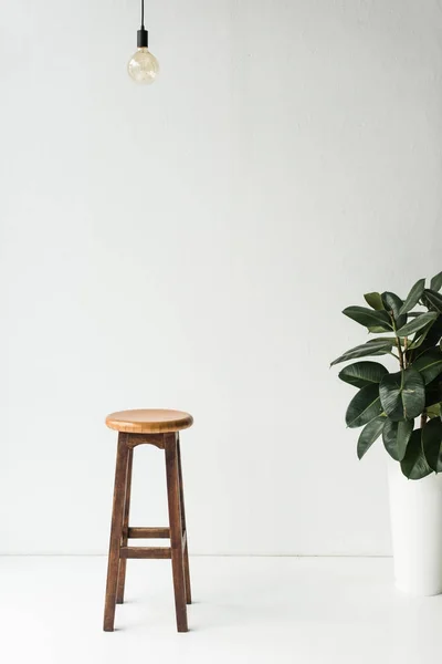 Деревянный стул, лампа и растение в горшке на белом — стоковое фото