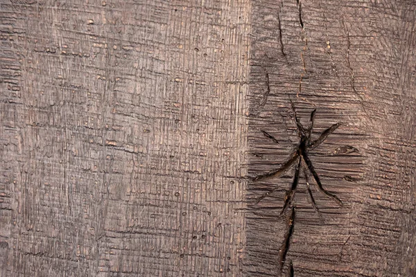 Крупный план коричневой деревянной текстуры — стоковое фото