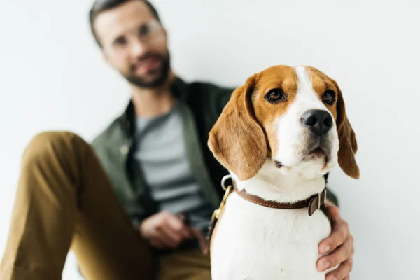 Hund — Stockfoto