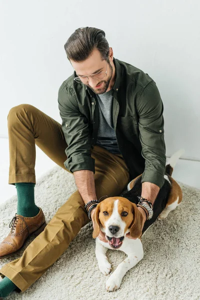 Bell'uomo che gioca con sbadiglio carino beagle su tappeto — Foto stock