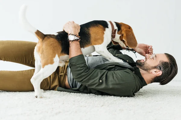 Glücklicher schöner Mann liegt auf Teppich und spielt mit niedlichem Beagle — Stockfoto