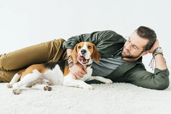 Schöner Mann auf Teppich liegend mit niedlichem Beagle isoliert auf weißem Grund — Stockfoto