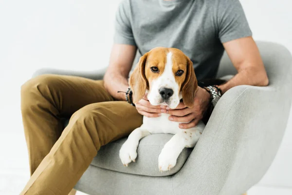 Imagen recortada de hombre palming perro aislado en blanco - foto de stock