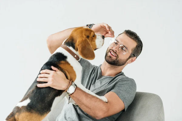 Sonriente guapo hombre jugando con lindo beagle en sillón aislado en blanco - foto de stock