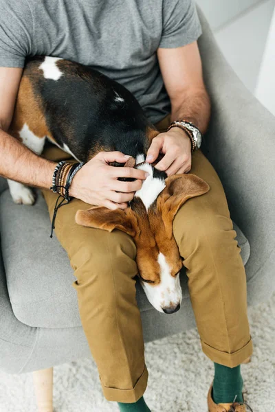 Cropped image of dog lying between man legs — Stock Photo