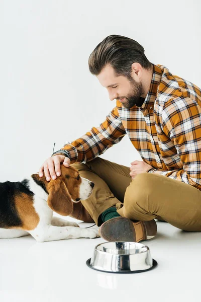 Man palming cute beagle near pet bowl — Stock Photo