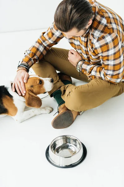 Высокий угол зрения человека, ласкающего собаку возле миски с домашним животным — стоковое фото