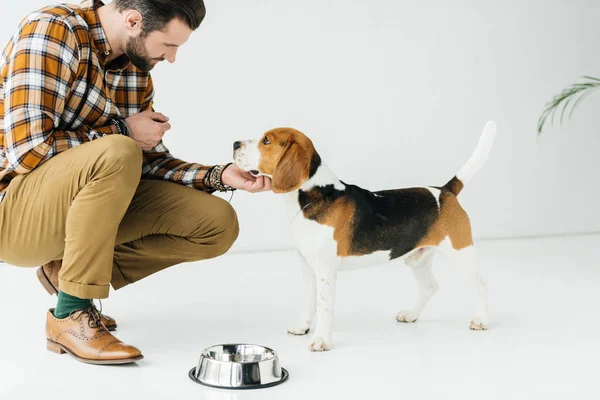 Side view of man palming dog near pet bowl — Stock Photo