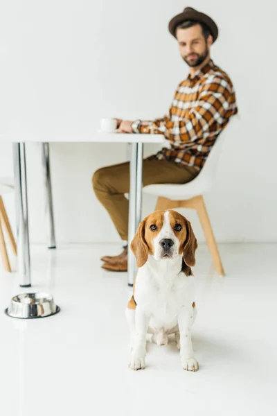 Hombre bebiendo café, perro sentado en el suelo - foto de stock