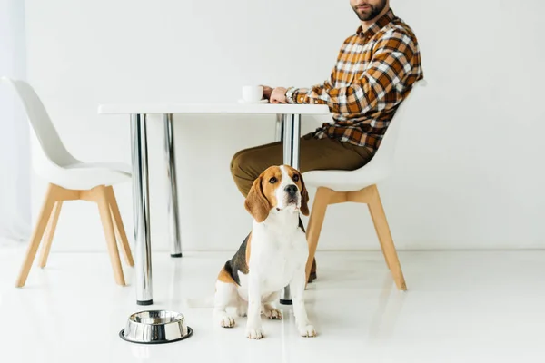 Обрезанный образ человека, пьющего кофе, собака, сидящая на полу — стоковое фото