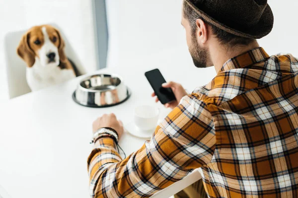 Man holding smartphone and looking at cute beagle — Stock Photo