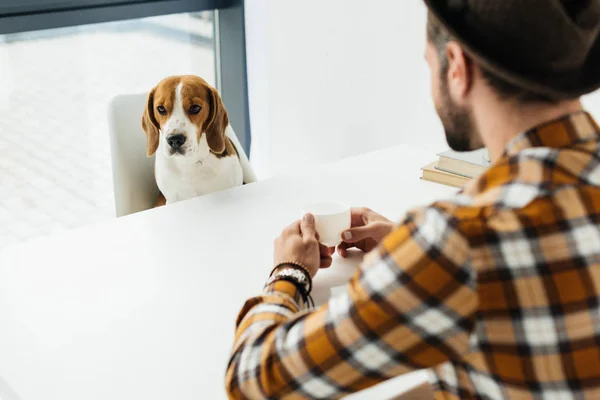 Бизнесмен сидит за столом с кофе и смотрит на собаку — стоковое фото