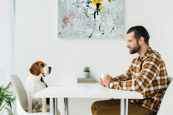 Vista lateral del hombre de negocios sentado en la mesa y mirando al perro - foto de stock