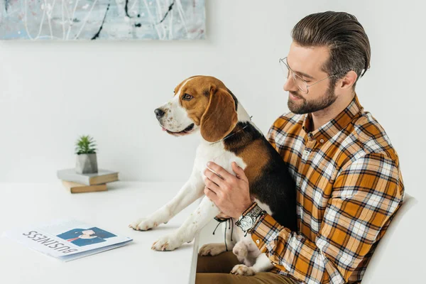 Side view of businessman holding cute beagle — Stock Photo