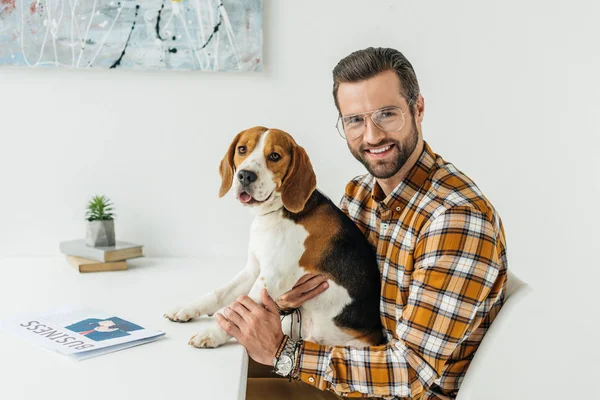 Businessman holding cute beagle and looking at camera — Stock Photo