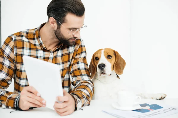 Guapo hombre de negocios y perro sentado en la mesa con la tableta - foto de stock