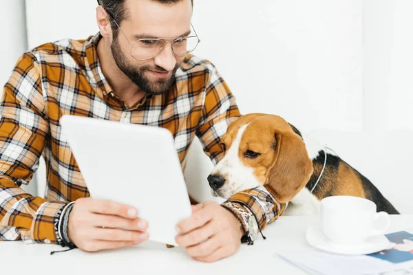 Hombre con perro - foto de stock