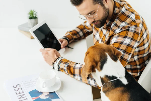 Handsome businessman showing something on tablet to dog — Stock Photo