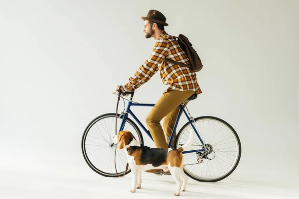 Вид збоку велосипедиста з собакою на білому — стокове фото