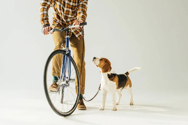 Immagine ritagliata di bicycler con cane su bianco — Foto stock