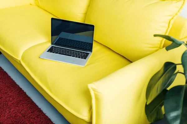 Ноутбук з порожнім екраном на жовтому дивані з горшковою рослиною поруч — стокове фото