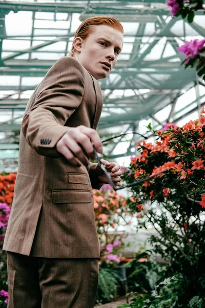 Low angle view of stylish pensive man with red hair and eyeglasses in hand in glasshouse — Stock Photo