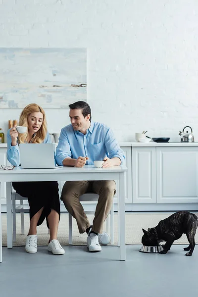 Couple drinking coffee and talking by kitchen table with laptop while their Frenchie eating — Stock Photo