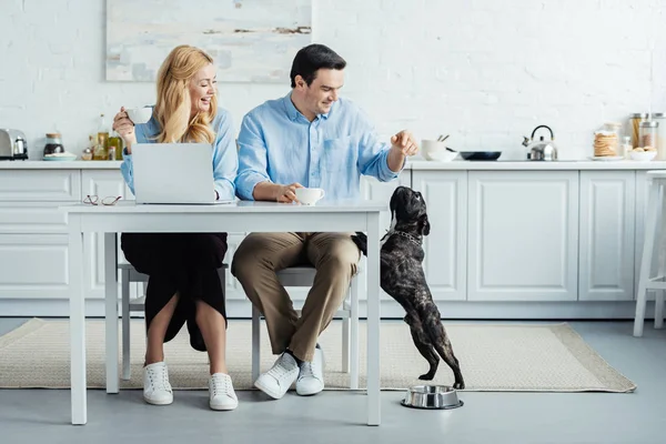 Man and woman drinking coffee and playing with their dog by kitchen table with laptop — Stock Photo