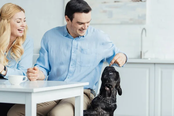 Man and woman drinking coffee and feeding french bulldog by kitchen table — Stock Photo