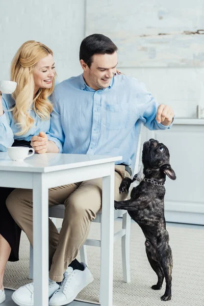 Paar trinkt Kaffee und spielt mit französischer Bulldogge am Küchentisch — Stockfoto