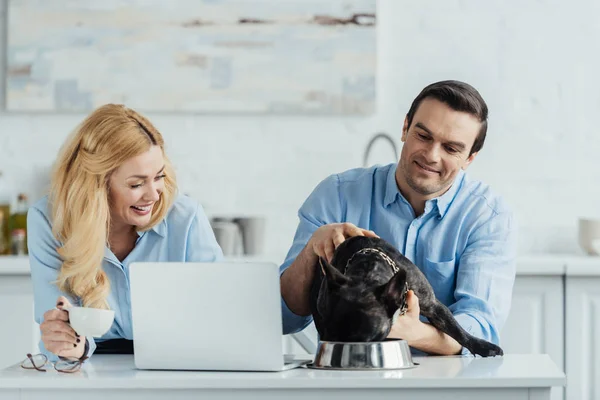 Smiling couple feeding their frenchie dog on kitchen table with laptop — Stock Photo