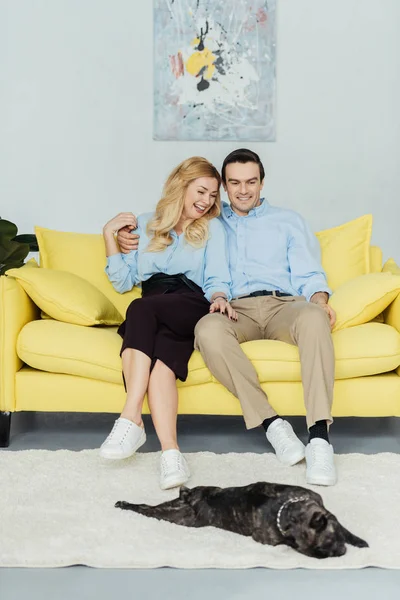 Embracing man and woman sitting on yellow sofa by frenchie puppy on floor — Stock Photo