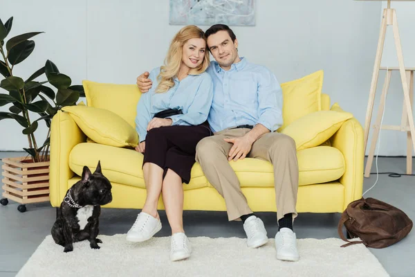 Красивая пара, сидящая на желтом диване рядом с французским бульдогом на полу — стоковое фото
