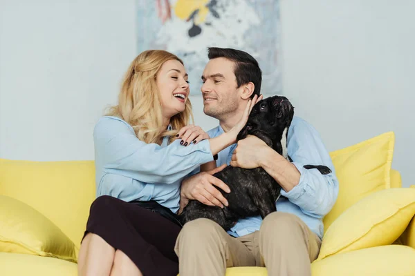 Красивая пара смотрит друг на друга и обнимает французского пса на жёлтом диване — стоковое фото